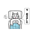 としネコスタンプ（個別スタンプ：10）