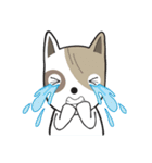 Ruf-fo（個別スタンプ：3）