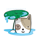 Ruf-fo（個別スタンプ：10）