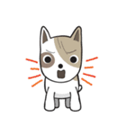 Ruf-fo（個別スタンプ：15）