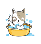 Ruf-fo（個別スタンプ：16）