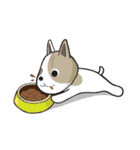 Ruf-fo（個別スタンプ：24）