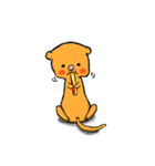 フェレットくんスタンプ（個別スタンプ：13）