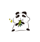 Knit panda（個別スタンプ：24）
