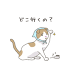 ネコは家族（個別スタンプ：2）