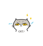 1dog and 3cats（個別スタンプ：4）