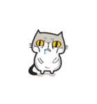 1dog and 3cats（個別スタンプ：8）