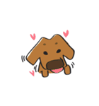 1dog and 3cats（個別スタンプ：37）