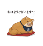 忠犬もちしば（個別スタンプ：9）