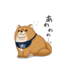 忠犬もちしば（個別スタンプ：32）