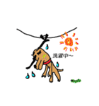 キラりん犬（個別スタンプ：3）