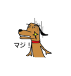 キラりん犬（個別スタンプ：6）