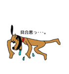 キラりん犬（個別スタンプ：13）
