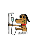 キラりん犬（個別スタンプ：18）