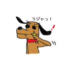 キラりん犬（個別スタンプ：19）