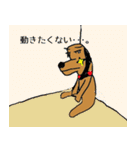 キラりん犬（個別スタンプ：22）