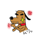 キラりん犬（個別スタンプ：30）