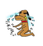 キラりん犬（個別スタンプ：33）