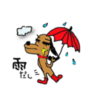 キラりん犬（個別スタンプ：34）