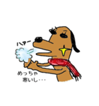 キラりん犬（個別スタンプ：40）
