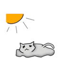 怠惰猫（個別スタンプ：24）