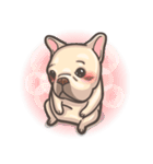 French Bulldog-PIGU（個別スタンプ：29）