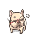 French Bulldog-PIGU（個別スタンプ：30）