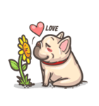 French Bulldog-PIGU（個別スタンプ：37）