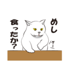 ふくねこまみれ（個別スタンプ：36）