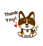 Love Corgi (Cute tricolor)（個別スタンプ：1）