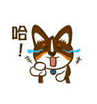 Love Corgi (Cute tricolor)（個別スタンプ：4）