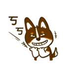 Love Corgi (Cute tricolor)（個別スタンプ：9）