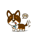 Love Corgi (Cute tricolor)（個別スタンプ：11）