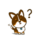 Love Corgi (Cute tricolor)（個別スタンプ：12）