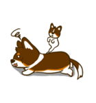Love Corgi (Cute tricolor)（個別スタンプ：14）