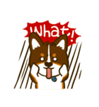Love Corgi (Cute tricolor)（個別スタンプ：17）