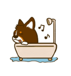 Love Corgi (Cute tricolor)（個別スタンプ：19）