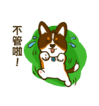 Love Corgi (Cute tricolor)（個別スタンプ：25）