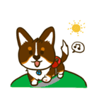 Love Corgi (Cute tricolor)（個別スタンプ：33）