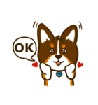 Love Corgi (Cute tricolor)（個別スタンプ：36）