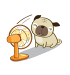 PookPug（個別スタンプ：31）