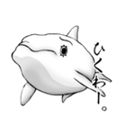 マツゲの白イルカ（個別スタンプ：37）