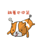 Dog ＆ Bear 2（個別スタンプ：22）