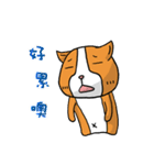Dog ＆ Bear 2（個別スタンプ：28）