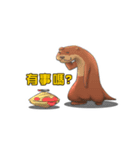 Hello~I'm Otter（個別スタンプ：16）