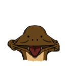 Sloth＆Meerkat（個別スタンプ：15）