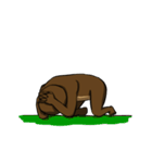 Sloth＆Meerkat（個別スタンプ：40）