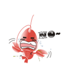 Super~Shrimp（個別スタンプ：17）