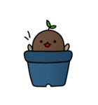 Baby Seed _ ZzoccoA（個別スタンプ：1）