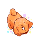 Teddy（個別スタンプ：15）